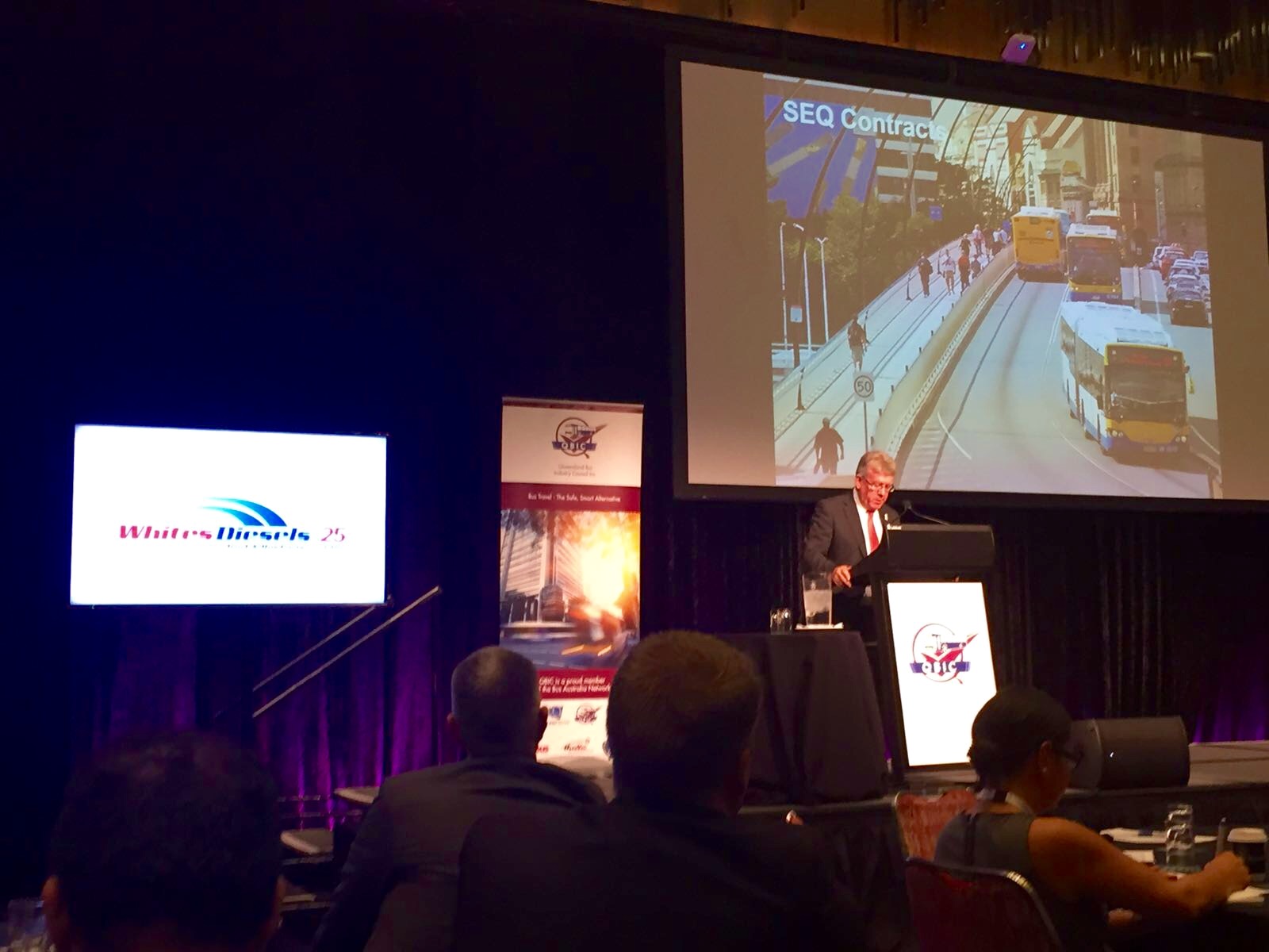 Hon Stirling Hinchliffe MP opening QBIC WDA